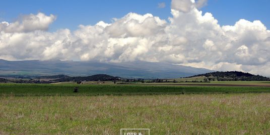 Ethi,Nanyuki