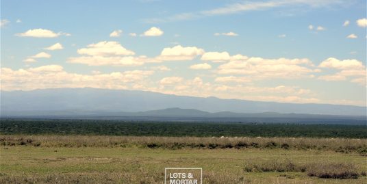 Wingu View