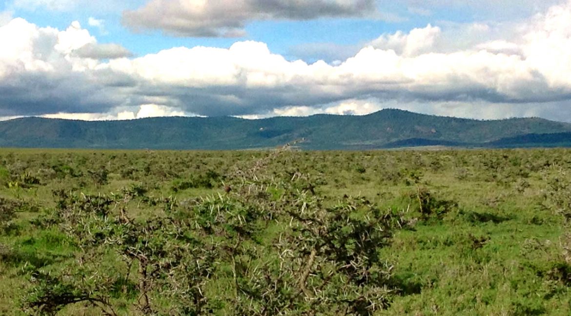 kariunga